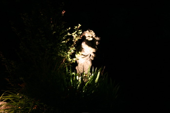 Statue Lighting